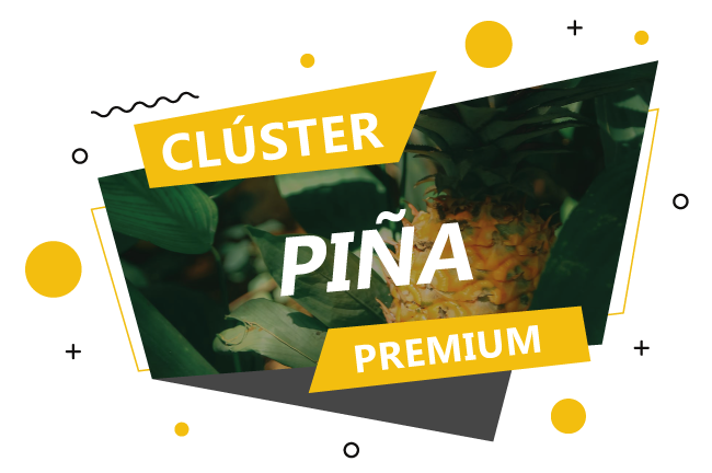 Cluster piña