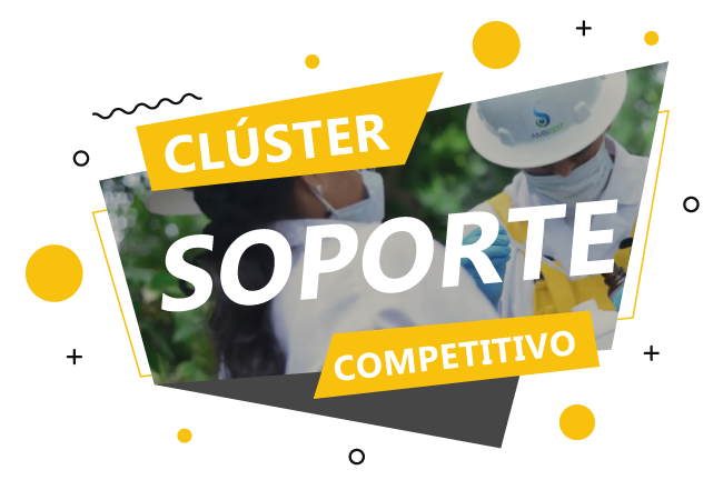 Cluster competitivo