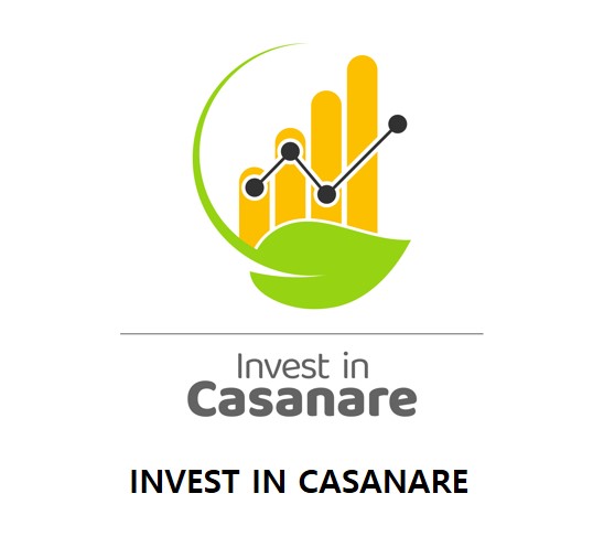 Invest In Casanare Logo