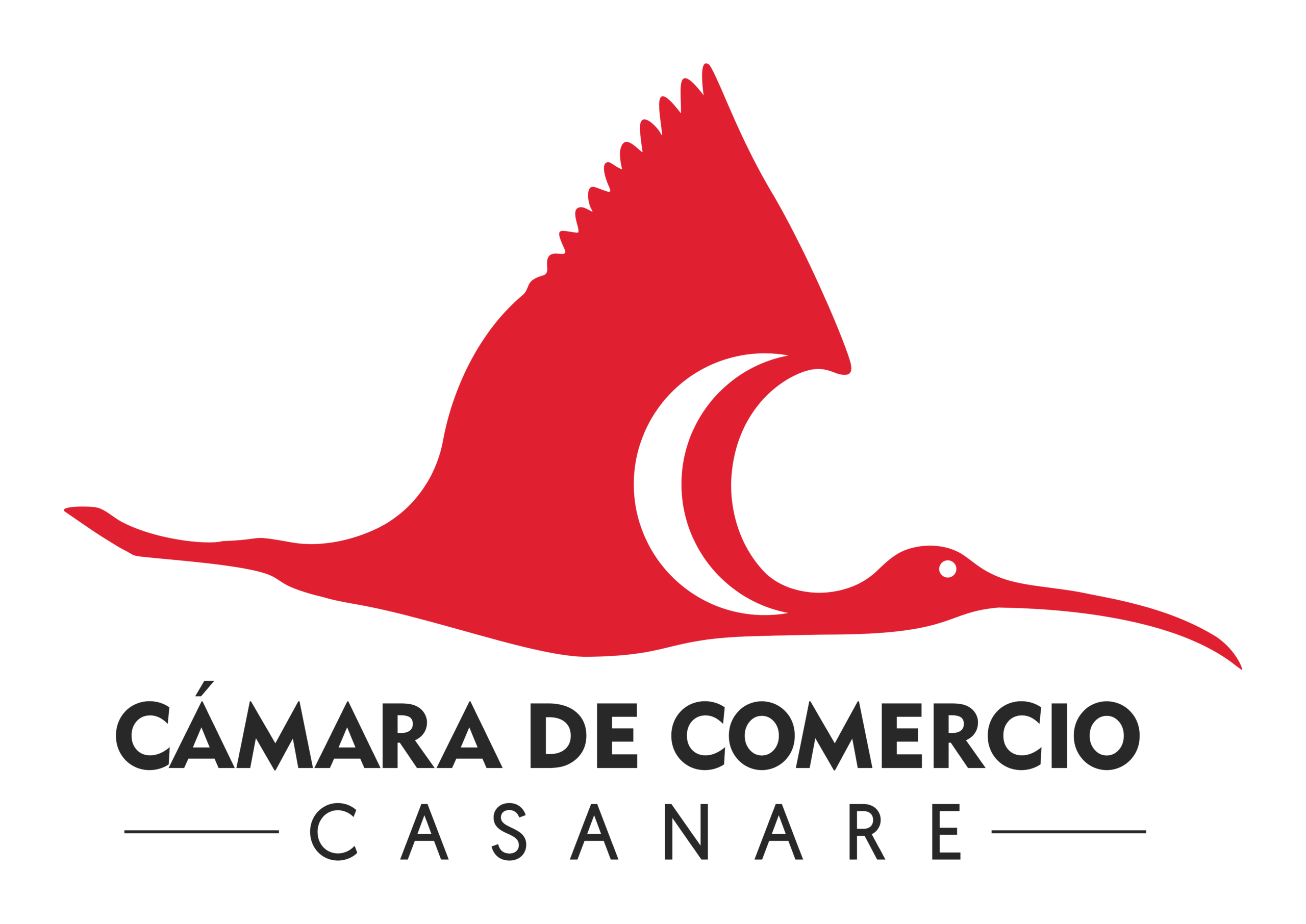 MARCA CCC - 2026